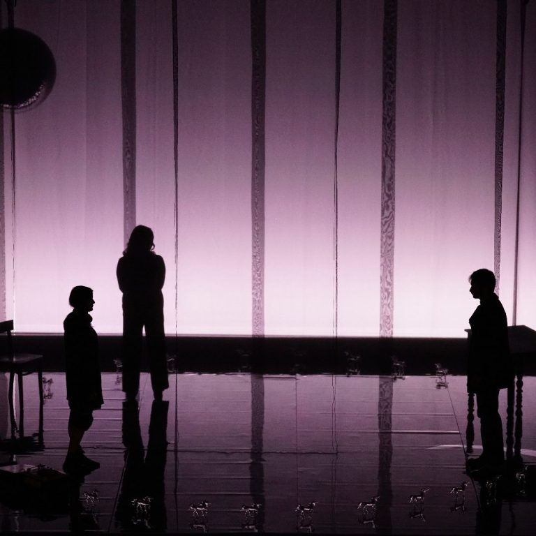 La Ménagerie de Verre Théatre de l'Imprévu